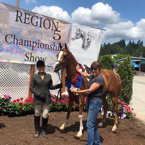 Meet your Posher, Marie